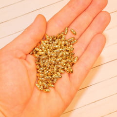 Entremeio Dourado Arroz Liso - 4 mm x 8 mm - 10 gramas